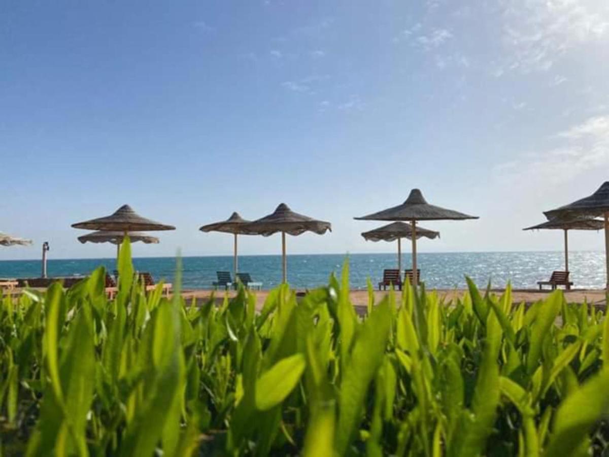 Fanar Hotel アインソフナ エクステリア 写真